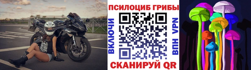 Галлюциногенные грибы Psilocybine cubensis Кола