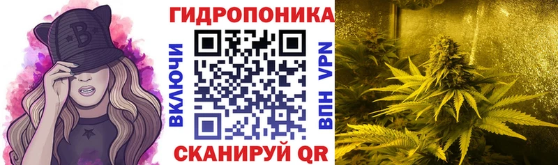МАРИХУАНА THC 21%  купить наркоту  Кола 